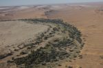 galleries/namibia-michal-004045