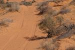 galleries/outback-australia-2006-286