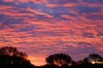 galleries/outback-australia-2006-692