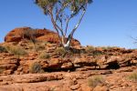 galleries/outback-australia-2006-729