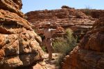 galleries/outback-australia-2006-737
