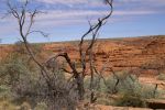 galleries/outback-australia-2006-753